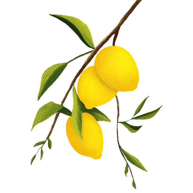 lemons-7294697_640.png