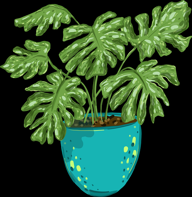 蘑菇影视官网数据加密技术更新｜客户端稳定性实测隐私防护再升级