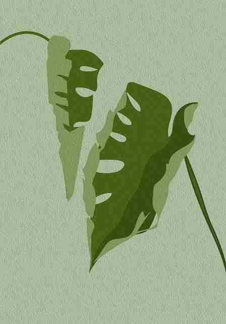 蘑菇视频站内新功能探索｜资源推荐系统解析辅助推荐系统更新