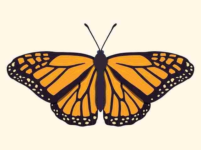 好色先生tv平台大数据分析｜感官调度现场观看比例持续走高